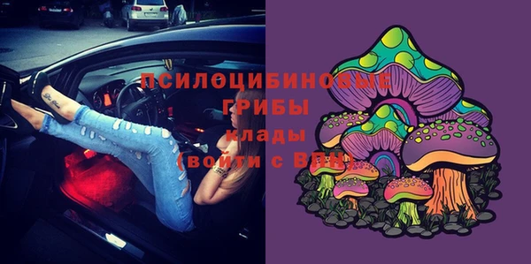 гашик Новокубанск